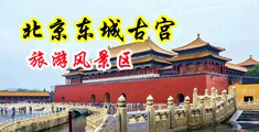 大鸡巴操小骚逼高清视频中国北京-东城古宫旅游风景区